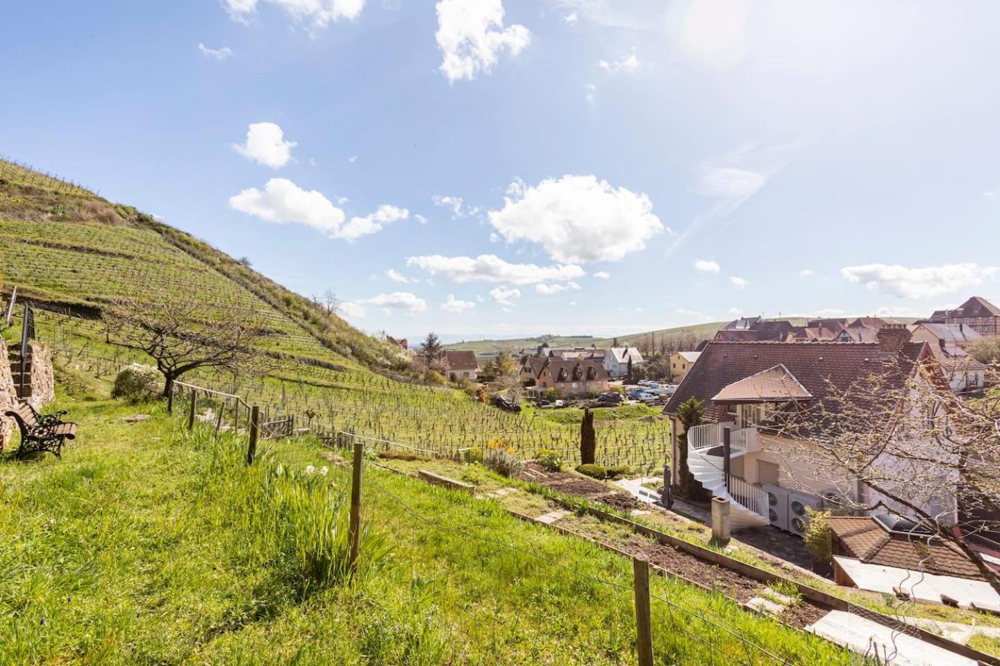 Les Glycines Du Sommerberg Niedermorschwihr Exteriör bild